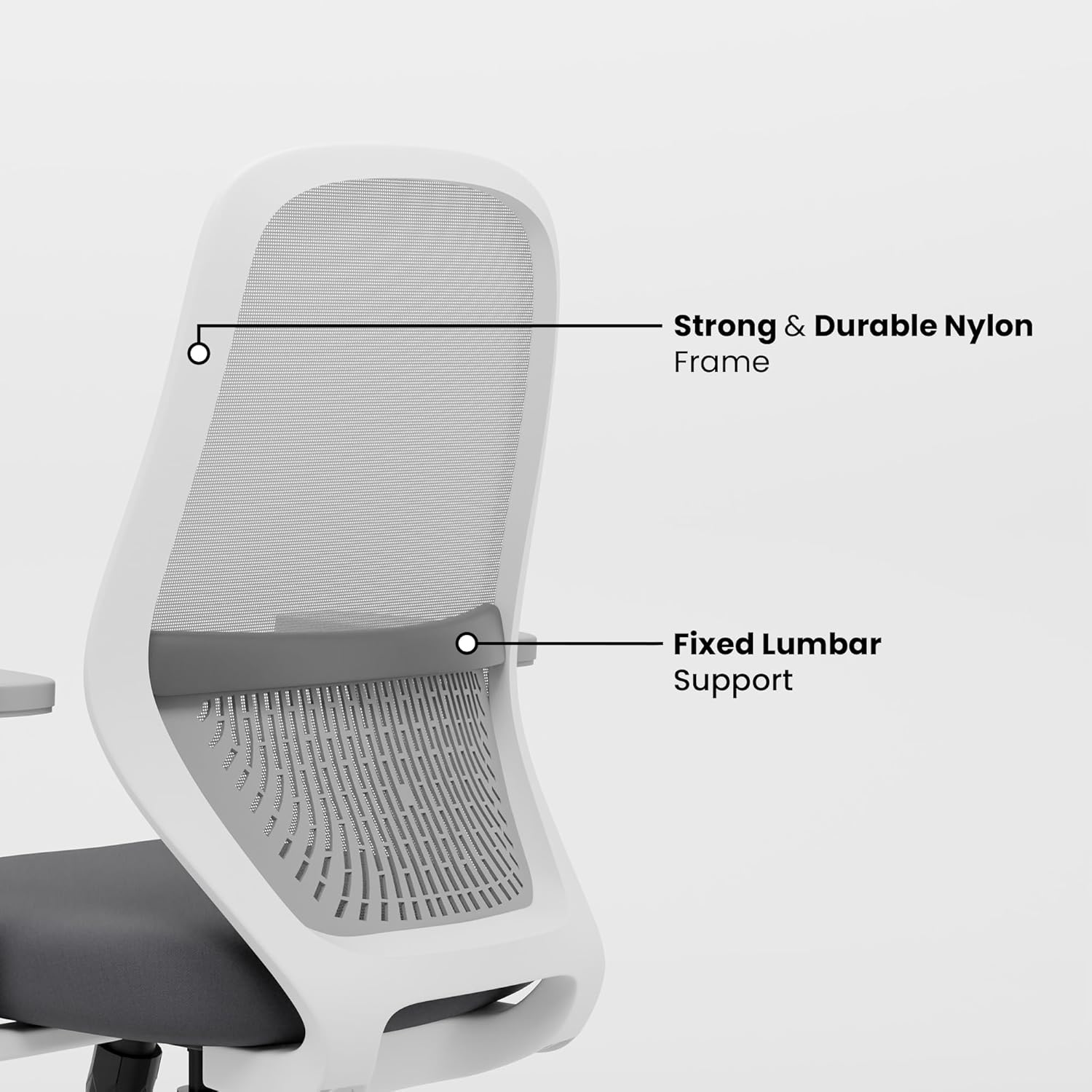 71i6RLw-erL._SL1500_