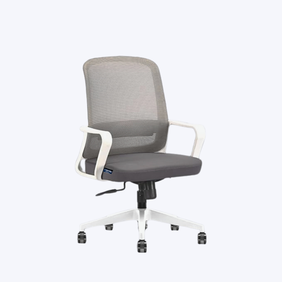 Capella imageCs (12)